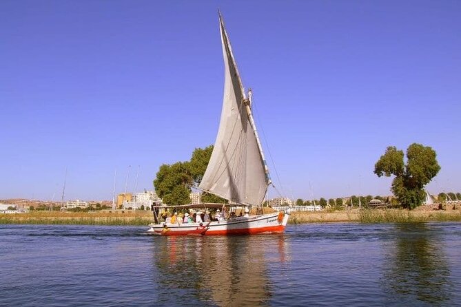 Amazing Day Tour to Luxor From Cairo by Plane,Sailing Felucca & Camel Ride,Tours - Camel Ride Adventure