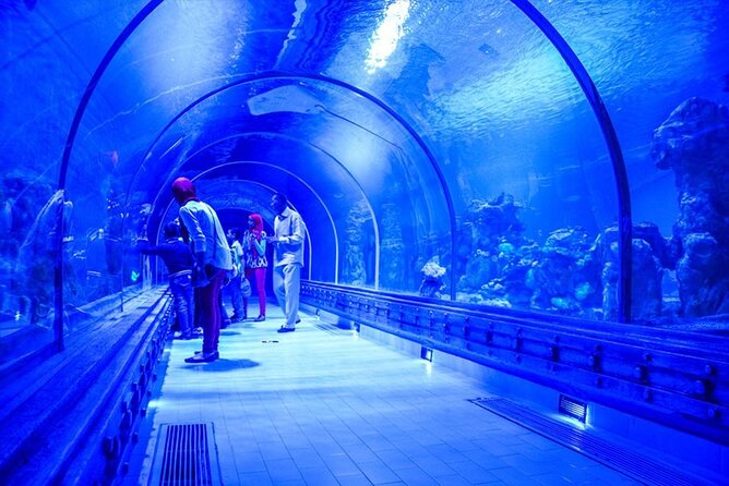 Amazing Tour To Grand Aquarium Hurghada With Transfer In Hughada - Cancellation and Refund Policy