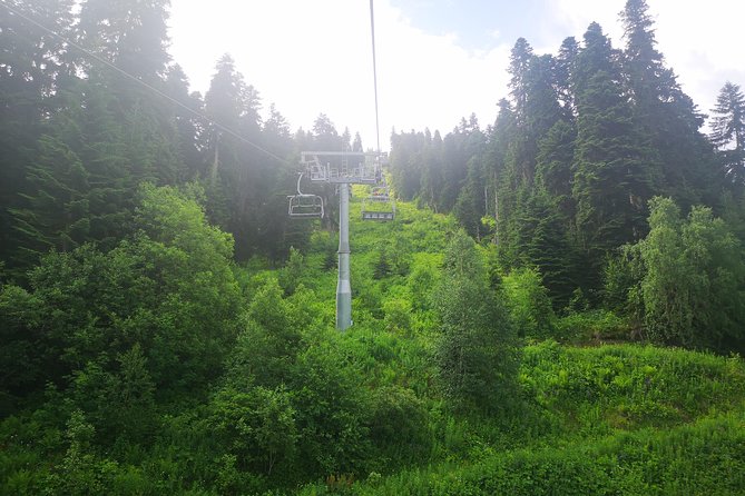 Amazing Trip to Svaneti - 7 Days for 1-4 Person - Booking and Pricing