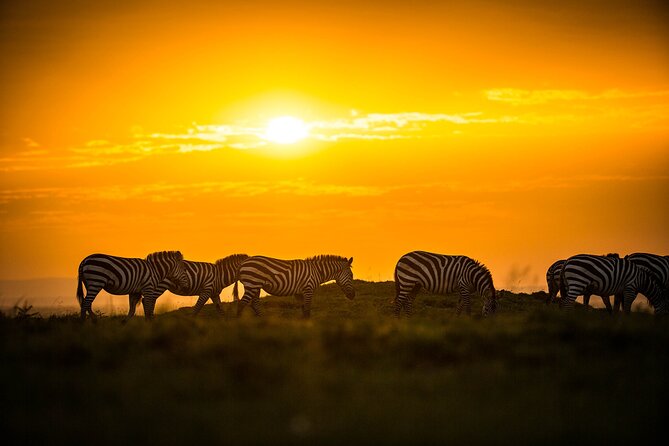 Amboseli National Park Full Day Tour From Nairobi - Refund Information