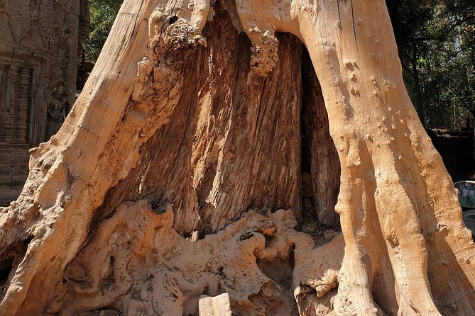 Angkor Wat Sunrise Private Full Day Tour - Tour Highlights