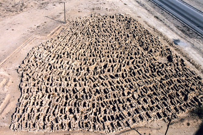 Archaeological Tour Bahrain - Additional Information
