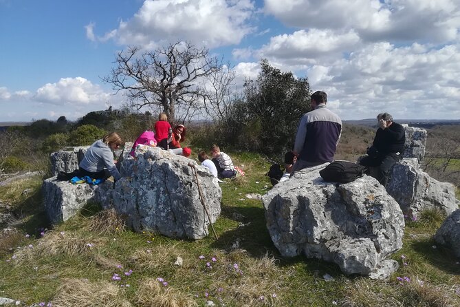 Archaeological Tour Near Poreč - End Point