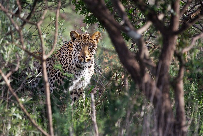 Around Gaborone Adventure - Tour Expectations and Restrictions
