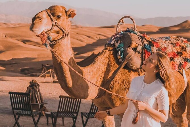 Atlas Mountains Imlil Village Kik Plateau Agafay Desert Day Trip - Highlights of the Day Trip