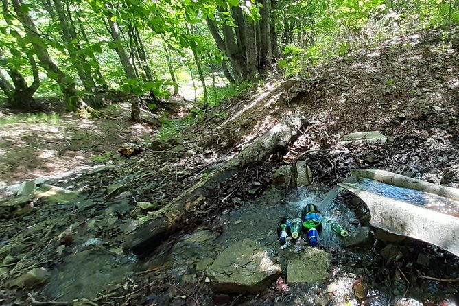 Barbecue in the Forest Near Tbilisi - Operational Information