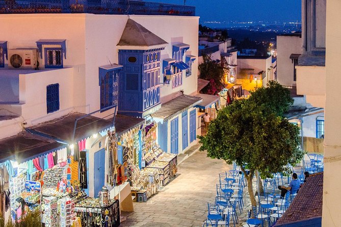 Bardo Museum- the Ruins of Carthage- Village of Sidi Bou Said - Tour Highlights and Itinerary