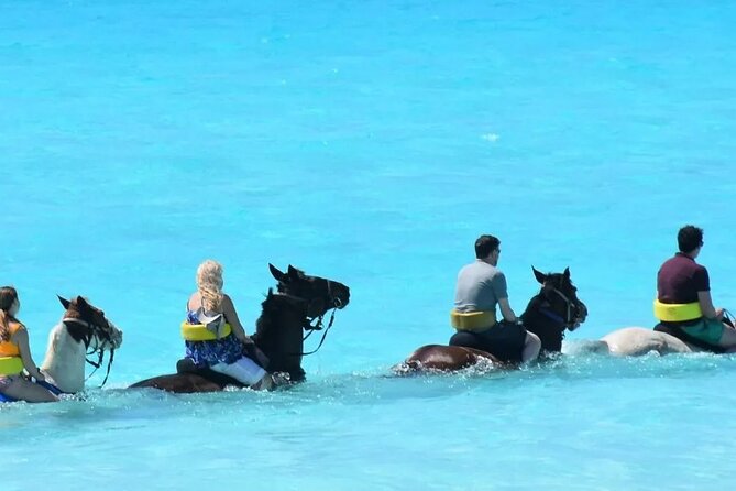 Beach Horse Riding From Sharm El Sheikh - Overview of Beach Horse Riding
