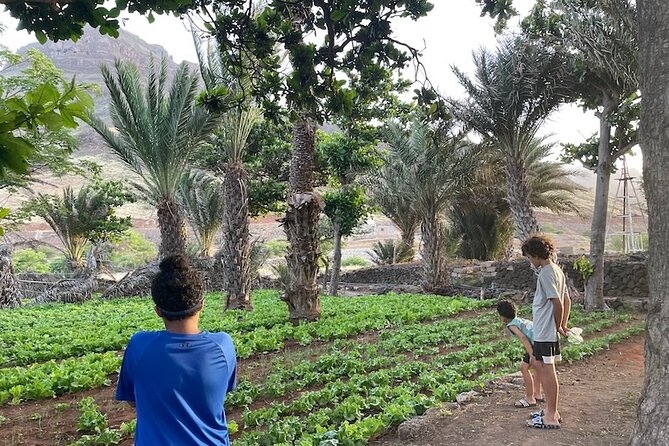 Beaches, Villages and Monte Verde, São Vicente Excludes City - Discovering Beyond the City Limits