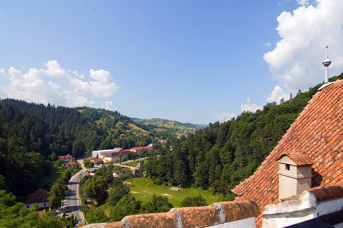 Bear Sanctuary, Bran (Dracula) Castle, Peles Castle From Brasov - Customer Reviews and Ratings