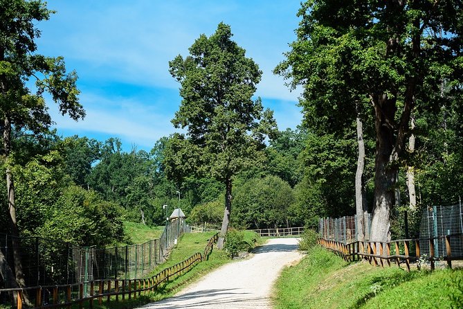 Bears Sanctuary & Dracula Castle - Tickets Included - Important Restrictions