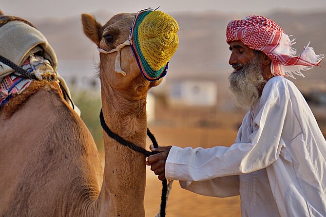 Bediyah: Camel Safari Through the Wahiba Sands Desert - End Point