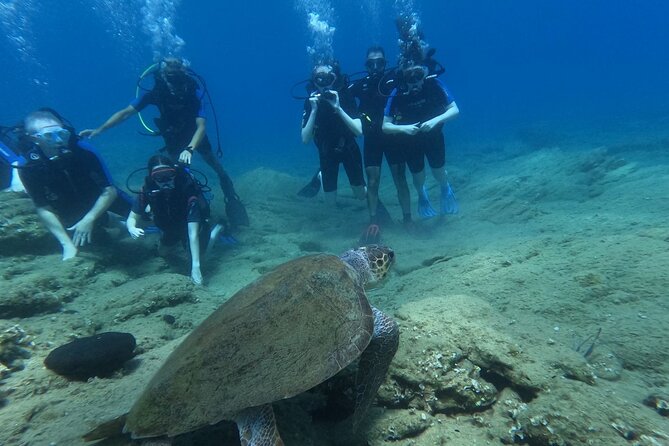 Beginners SSI Intro Dive W/2 Dives & Transfer - Important Information