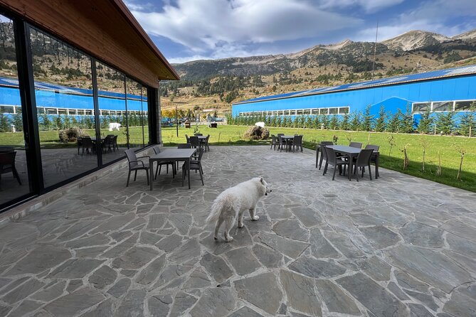 Berat off Road Tour to Cuka E Tomorrit 2416M - Reviews and Rating