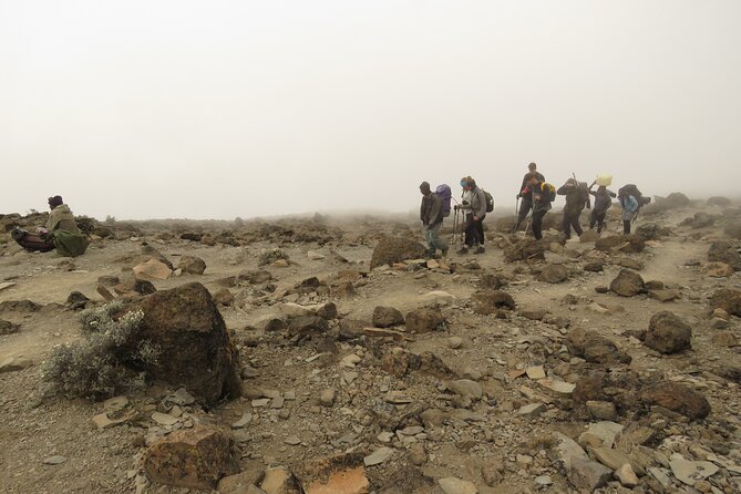 Best 7 Days Lemosho Route Kilimanjaro Hiking Package 2024/2025 - Additional Information
