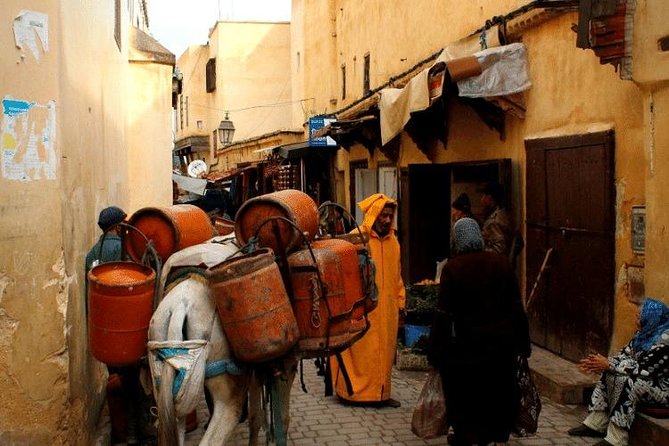 Best Full-Day Guided Tour of Fez | Fez Sightseeing Tour - Good To Know