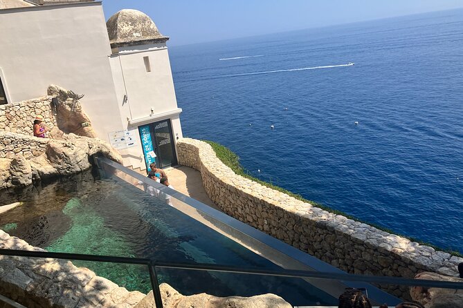 Best of Monaco Private Tour and Outlet Shopping Experience - Gourmet Dining Experience