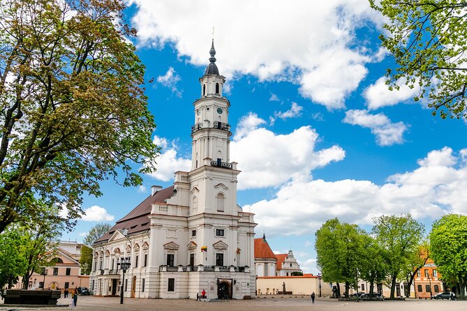 Best of Tallinn Upper and Lower Town Tour for Cruise Passengers - Souvenir Shopping Suggestions