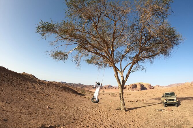 Best Wadi Rum Tour - Private Guide - Reviews and Ratings