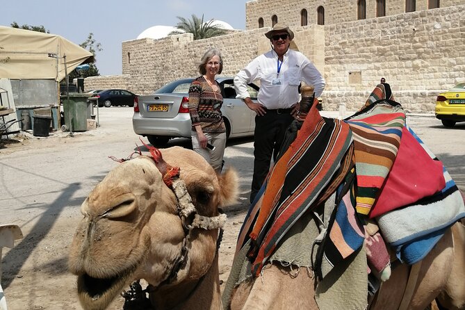 Bethlehem, Jericho, Hisham Palace and Qumran Full Day Private Tour - Tour Guide Information