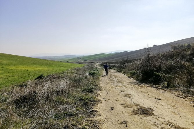 Bike Tour to the Lake - Self Guided for Families - What To Expect