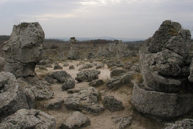 Birds, Nature and Sightseeing Tour Around the Varna - Beloslav Lake - Tour Location and Highlights