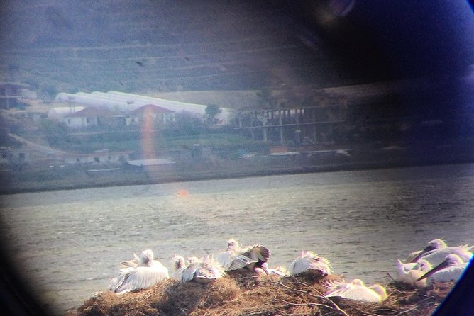 Birdwatching Albania - Additional Info