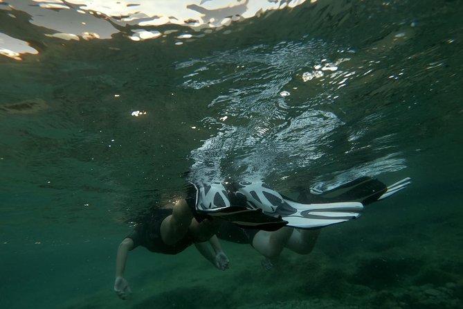 Blue Lagoon & Caves Comino Snorkeling Tour, Boat & Guide - Accessibility and Restrictions