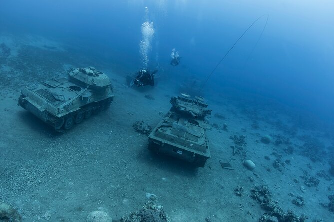Boat Dive and Snorkeling Experience in Aqaba - Additional Information