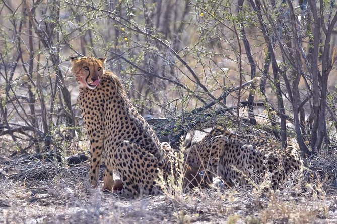 Botswana-Chobe National Park Savuti 3 Nights Camping - Additional Information