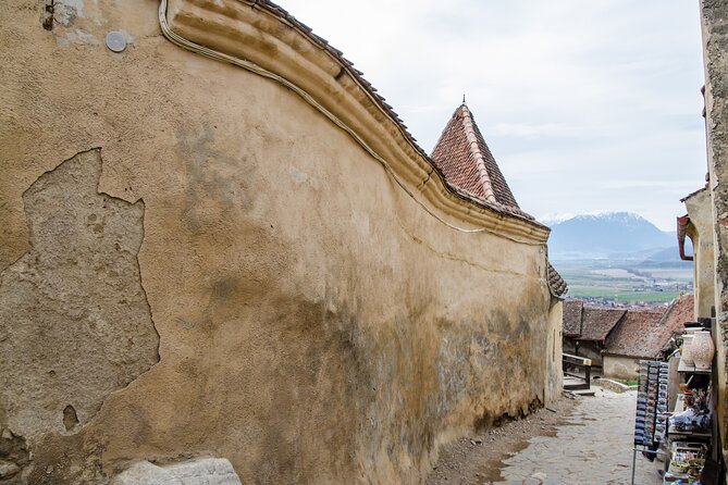 Bran Castle, Bear Sanctuary, and Rasnov Fortress Half Day Tour - The Sum Up