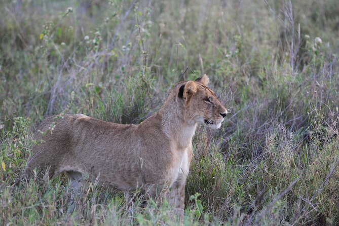 Budget Safari With a Lodge for 3 Days - Frequently Asked Questions