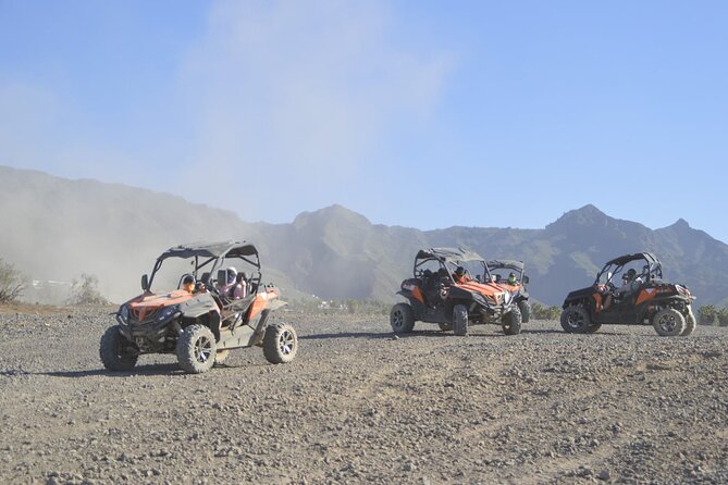 Buggy Tour South Coast of Tenerife With Off-Road - Tour Operator Details