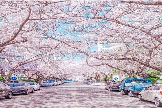 Busan Guided Small Group Tour for Up to 6 Guests. - Frequently Asked Questions