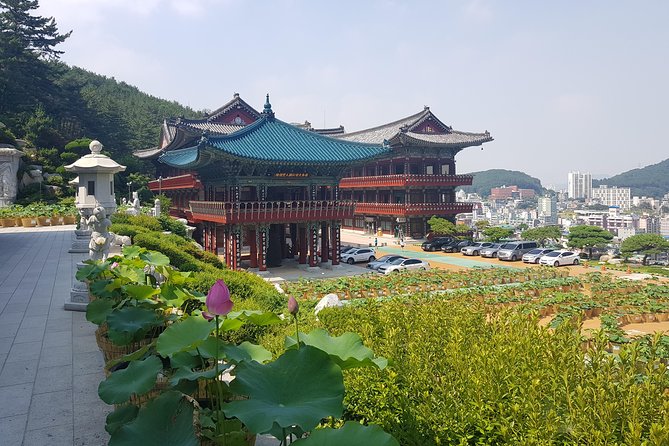 Busan Shore Excursion Tour With Gamcheon Culture Village - Pricing Details