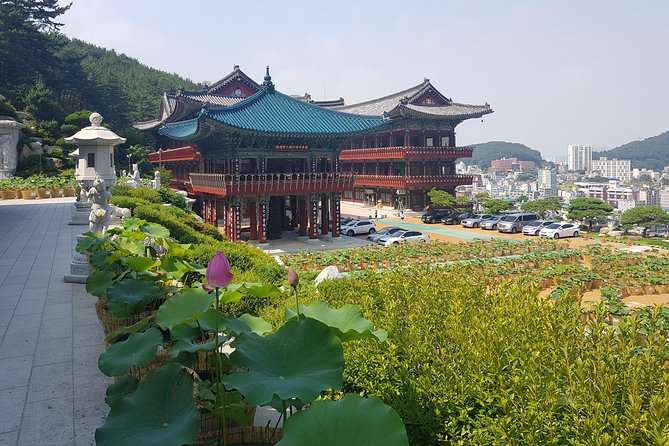 Busan Tour With Gamcheon Culture Village - Booking Information and Pricing