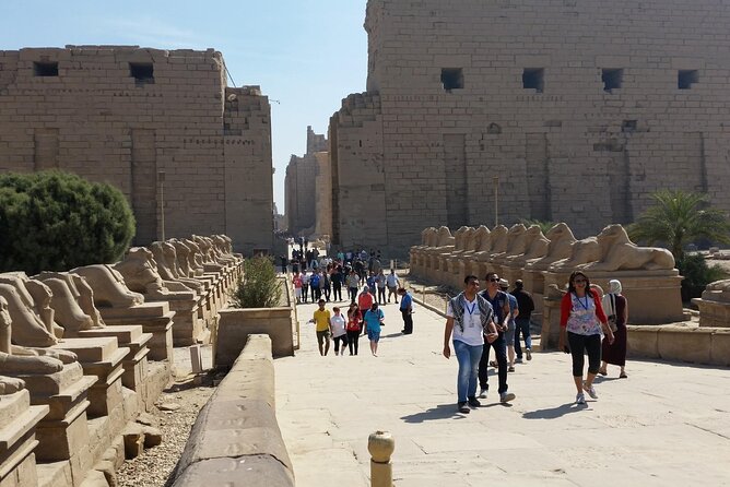 Cairo: 4-Day in 5* Nile Cruise Aswan to Luxor All Meals, Tours - Dining Experience