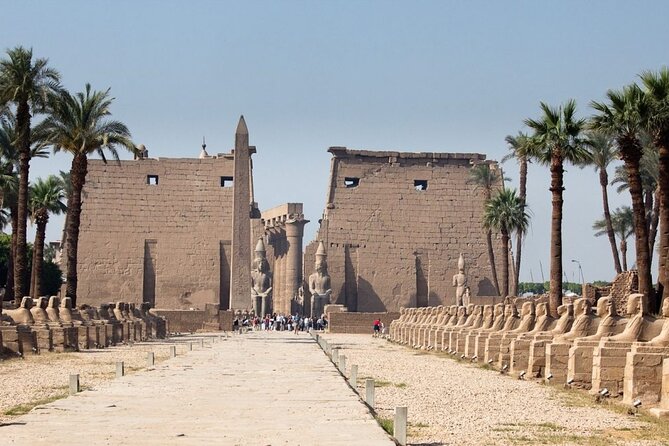 Cairo and Luxor 2 Days by Flight From Hurghada - Support and Contact