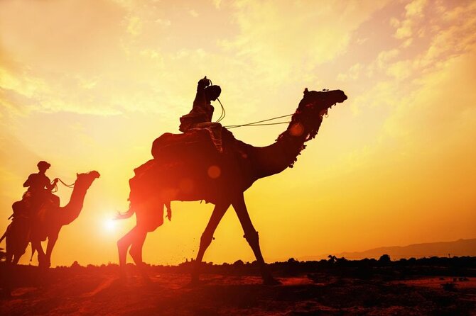 Camel Agadir - What To Expect
