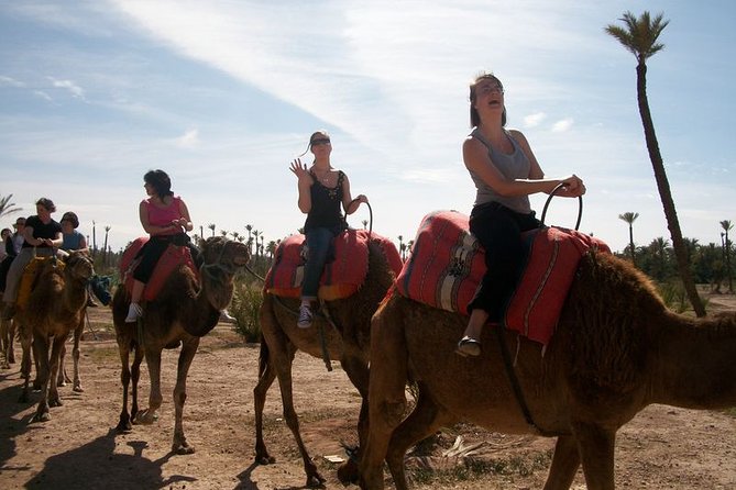 Camel Ride in Marrakech 2 Hours - Location Details