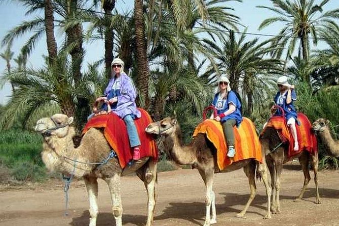 Camel Ride Marrakech - Location