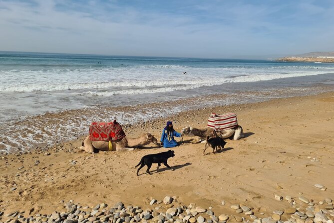 Camel Ride on the Beach From Awrir or Tamraght - Weather Contingency