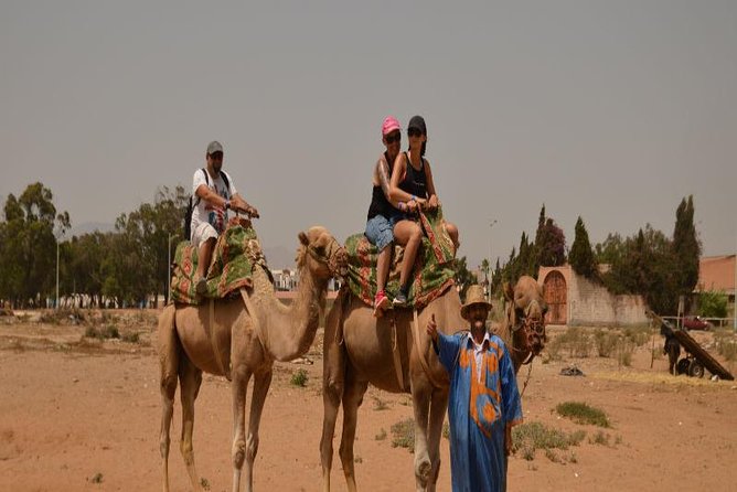 Camel Riding in Agadir for Cruise Ship Passengers - Directions for Booking