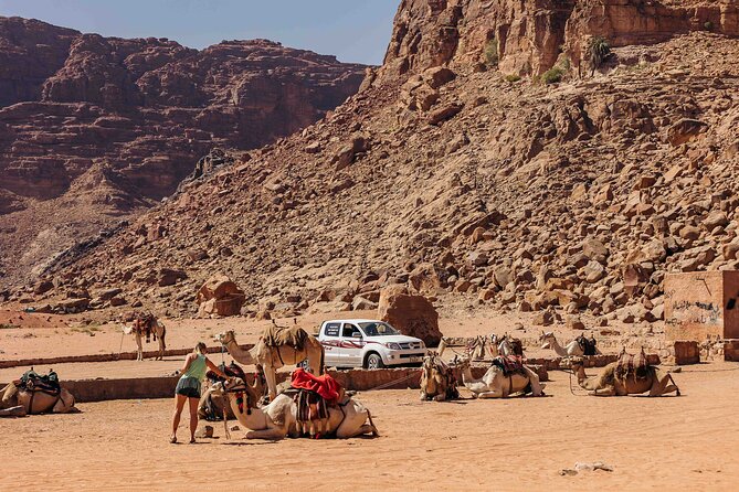 Camel Tours in Wadi Rum Desert | Magic Bedouin Star - Availability and Booking