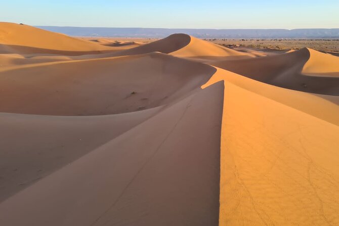 Camel Trekking the Gateway to the Desert - Frequently Asked Questions