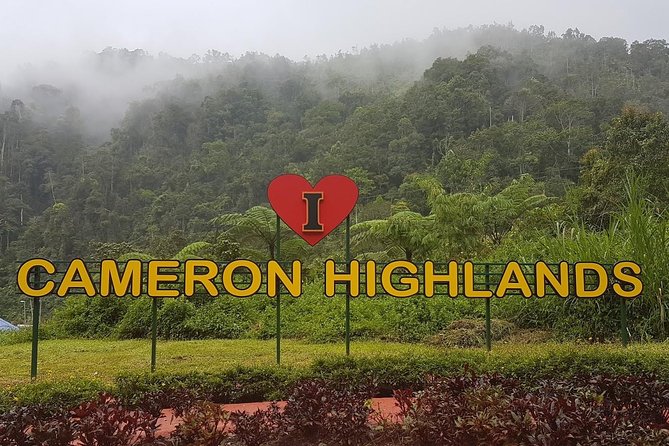 Cameron Highlands Amazing Day Trip Tour With Local Lunch - Tour Highlights