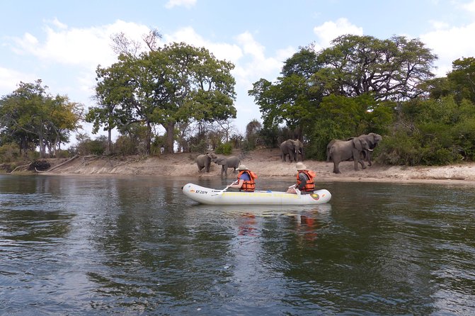 Canoeing With Wildlife Sightings - Additional Information and Requirements