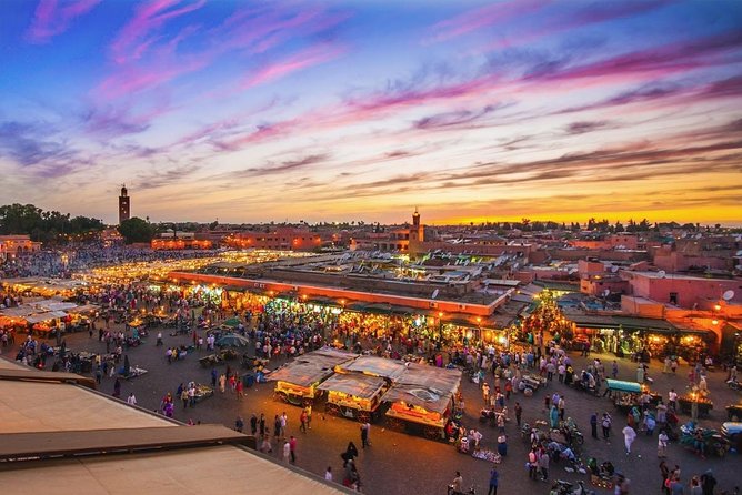Casablanca Shore Excursion: Private Marrakech Tour - Traveler Reviews