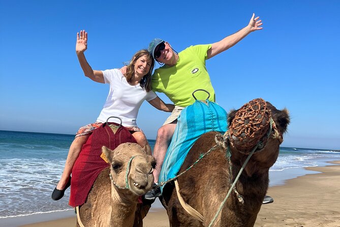 Casablanca to Tangier in a Round Day Trip - Accessibility Information