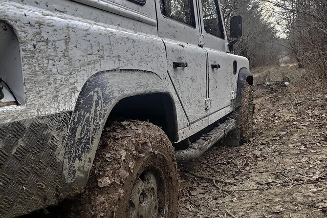 Central Istria Gastro and Off Road Half-Day Private Guided Tour - Optional Activity